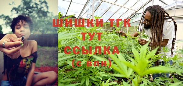 хмурый Нея