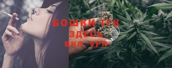хмурый Нея