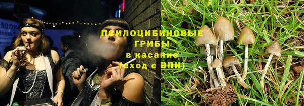 хмурый Нея