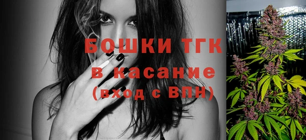 хмурый Нея
