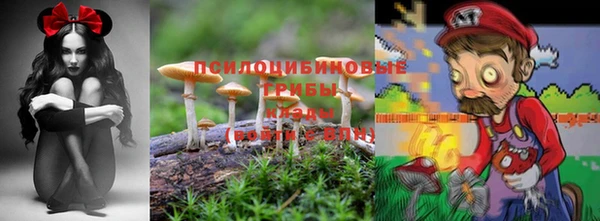 хмурый Нея