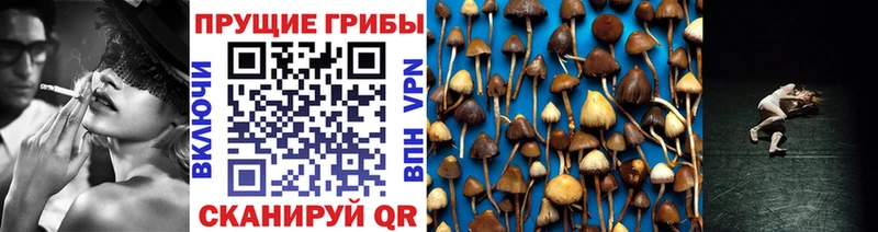 где можно купить MEGA ссылки Псилоцибиновые грибы MAGIC MUSHROOMS Свирск